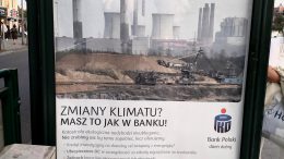 Fałszywa reklama banku PKO BP