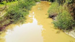 Zanieczyszczona rzeka Oława