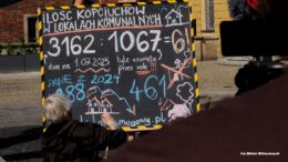 Wrocław dusi się w smogu. Ekolodzy: miasto manipuluje i ukrywa prawdę