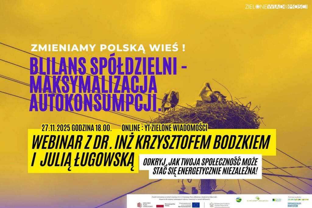 Bilans spółdzielni – maksymalizacja autokonsumpcji