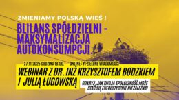 Bilans spółdzielni – maksymalizacja autokonsumpcji