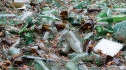 Śnieg stopniał, śmieci zostały. Co najbardziej irytuje Polaków?