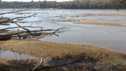 Bez wody nie będzie też prądu. Polska stoi przed poważnym problemem