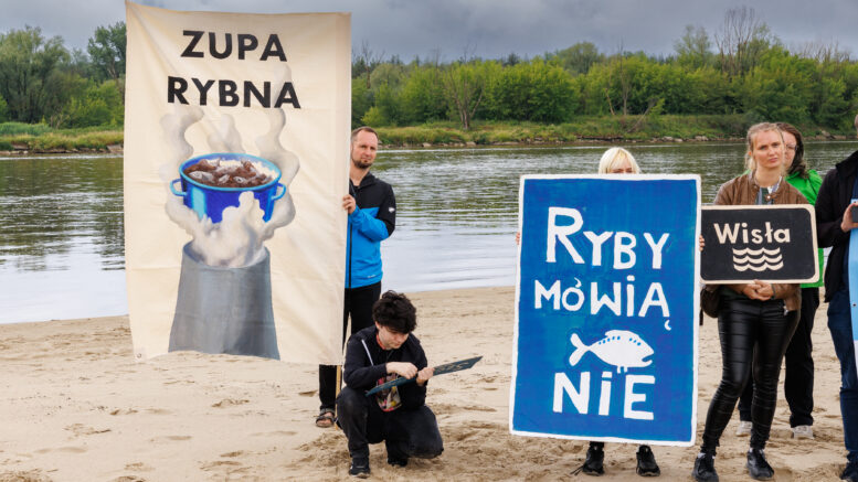 Kozienice zabierają nam połowę Wisły. Miliardy organizmów gotują się żywcem
